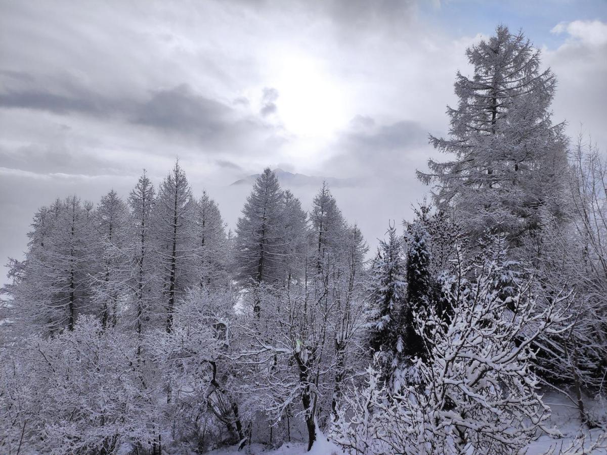 Bel appartement au rez de chaussée d'un chalet Jarrier Esterno foto